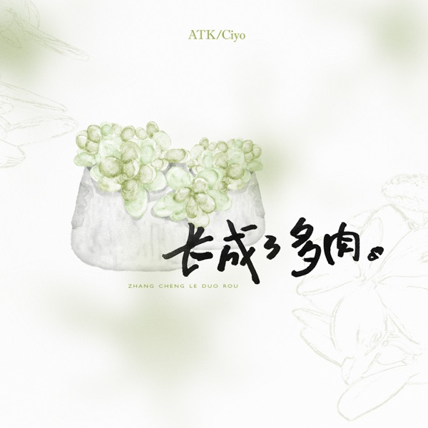 长成了多肉 - Single