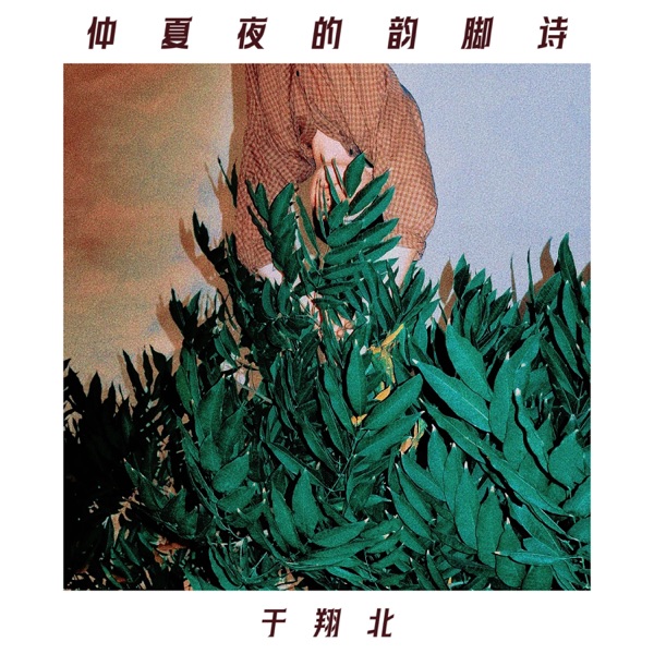 仲夏夜的韵脚诗 - Single