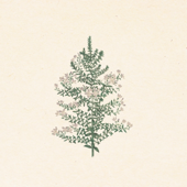 river flows in you (but it's a waltz)