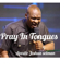 Pray In Tongues - Apostle Joshua Selman