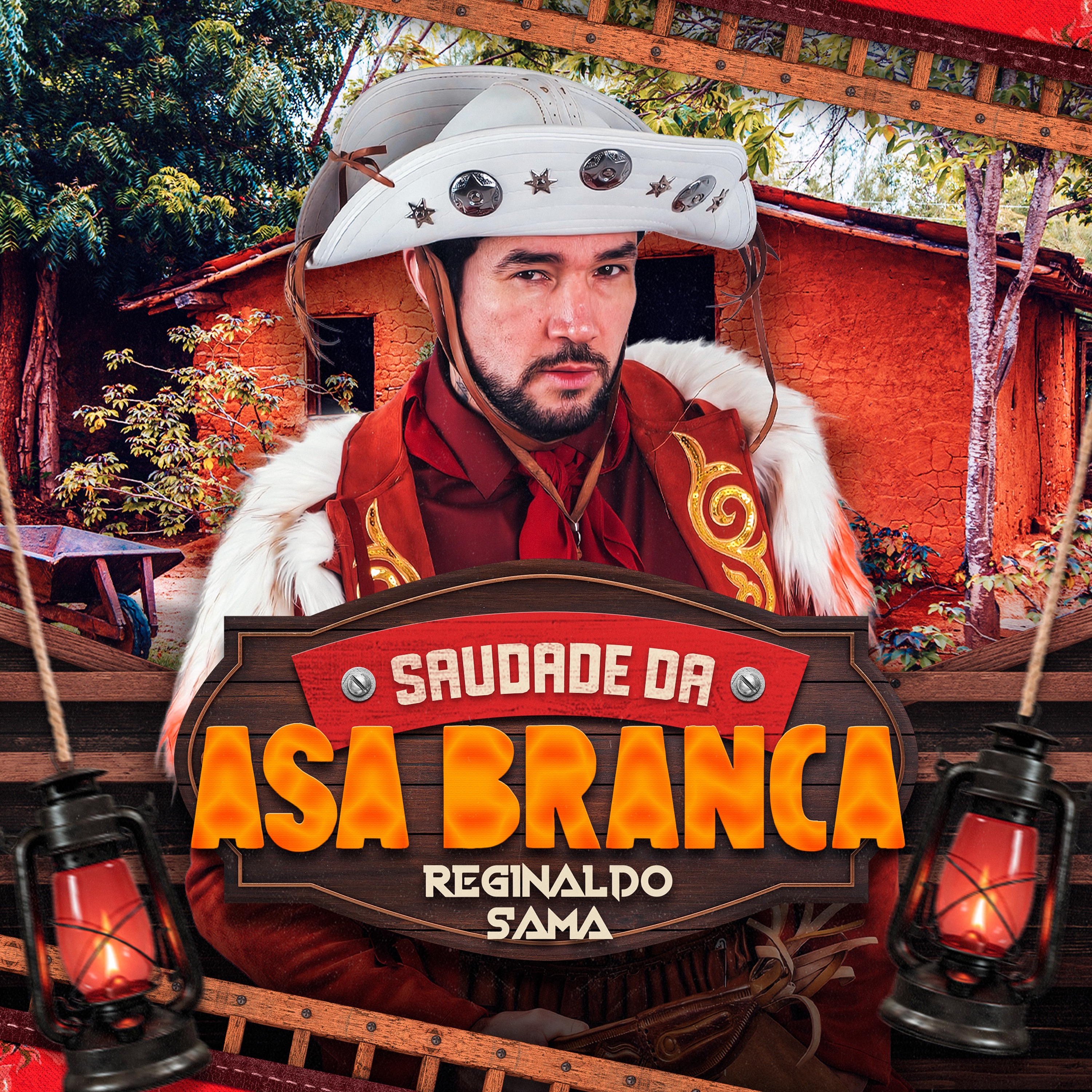 Saudade da Asa Branca - Single