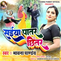 Saiya Patar Chitar - Single - Bhavna Pandey