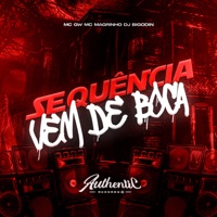 Sequência Vem de Boca (feat. Mc Magrinho & MC GW) - Single - Dj Bigodin