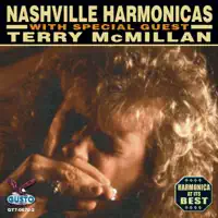Swing Low Sweet Chariot — Terry McMillan
