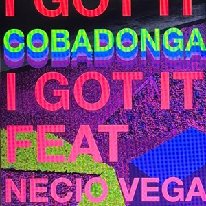 I Got It (feat. Necio Vega)