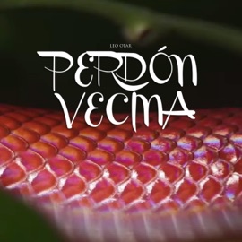 Perdón Vecina Eny Rs'