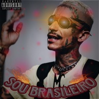 Sou Brasileiro - Single - Lil1cha