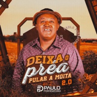 Deixa o Preá, Pular a Moita 2.0 - Paulo Forrozeiro