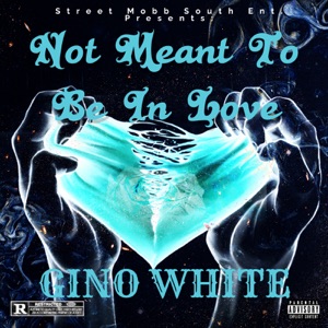 Not Meant To Be In Love (feat. Lamarcus Quantae White, Tyler Roy James & Shamu The Panda) [Radio Edit]