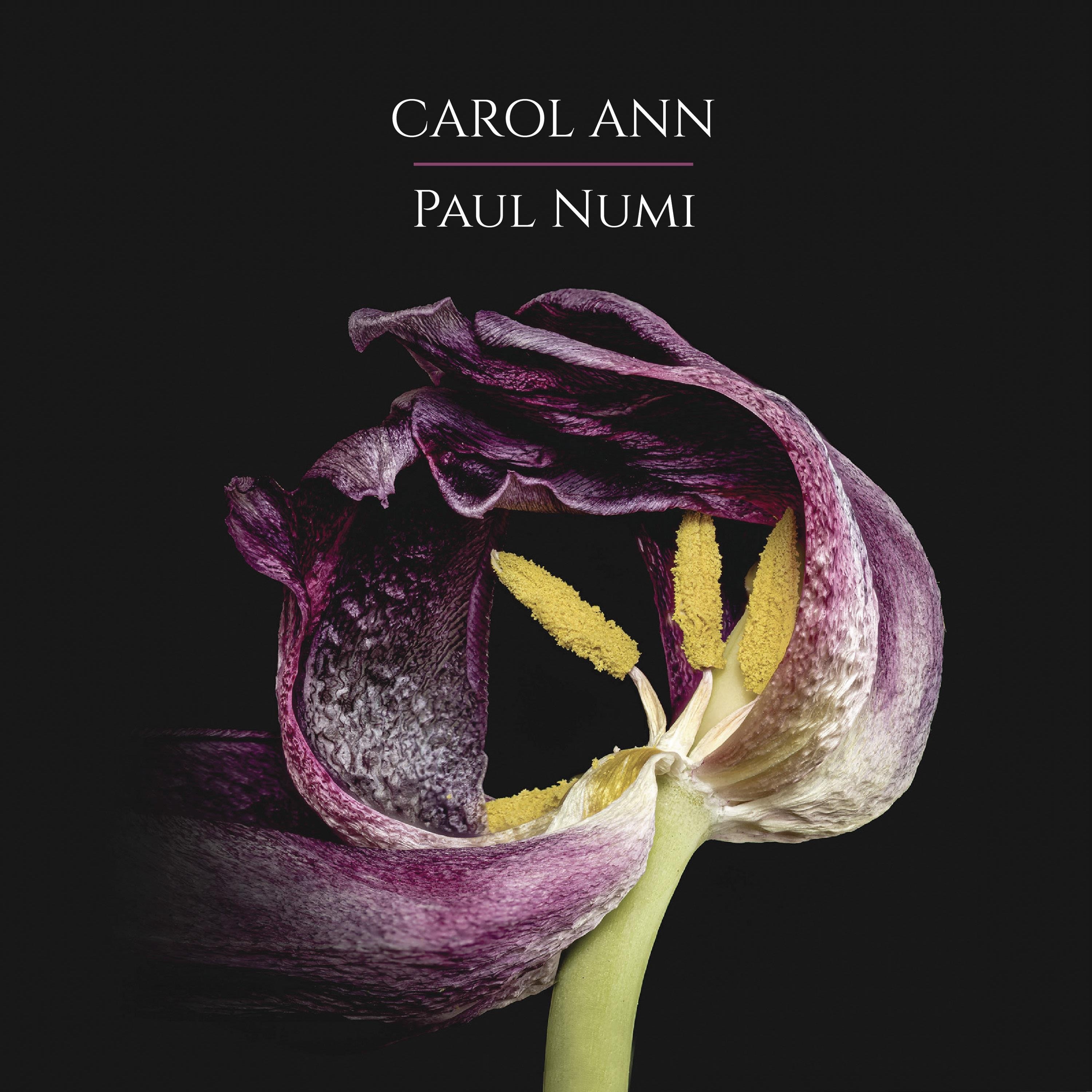 Carol Ann - Single