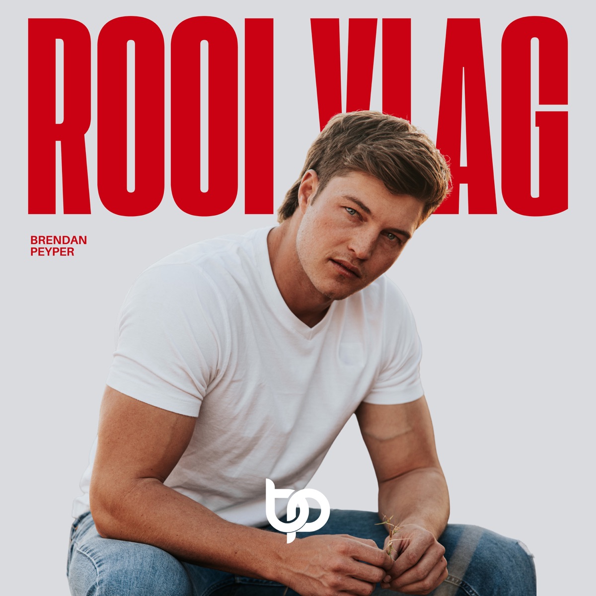 Brendan Peyper - Rooi Vlag - Single (2025) [iTunes Plus AAC M4A]-新房子