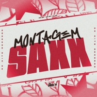 Montagem Saxx - Single - DJ ZS, MC RD & MC GW