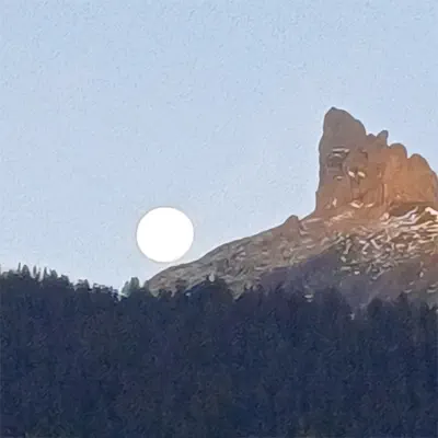 no.1 else - Seb Wildblood: Song Lyrics, Music Videos & Concerts