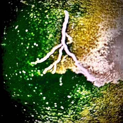 SoundSoftheSwaggest2wo - EP