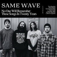 No One Will Remember These Songs In Twenty Years (feat. SAME WAVE) - Vigilante Records
