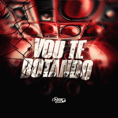 Vou Te Botando - Single