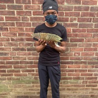 Staking out - Single - ShadStackzz