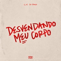 Desvendando Meu Corpo - Single - DJ RD & Gih França