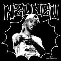 Nzungu - DJ Renaldo