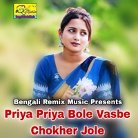 Priya Priya Bole Vasbe Chokher Jole - Single - Kabita Roy
