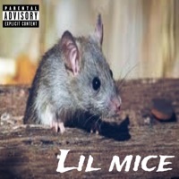Lil mice - Single - G Malio