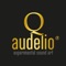 F-CII - audelio lyrics