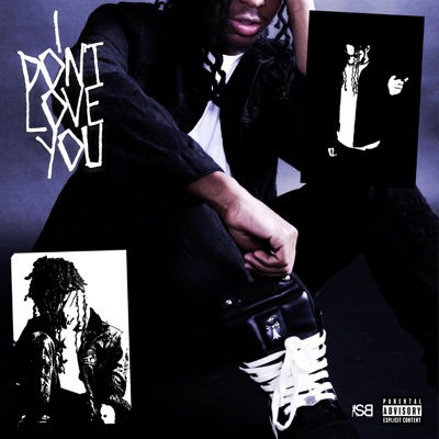 I Don't Love You