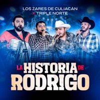 La Historia De Rodrigo - Single - Los Zares de Culiacan & Triple Norte