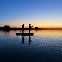 FISHING - Single - Lancing Ruel