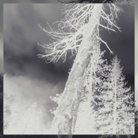 A THOUSAND DAYS - Single - Sid White