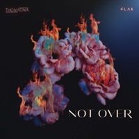 Not Over - Single - FLAK & THOMASINA