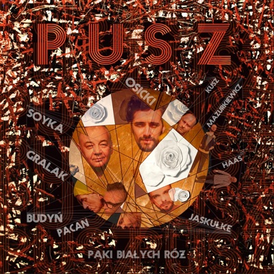 Pąki Białych Róż