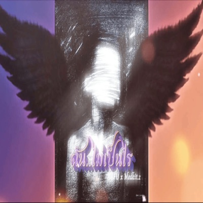 ฉัน..ไม่เป็นไร (feat. Medkit.Z) - Single