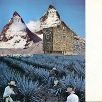 Moos - Single - Niklas Paschburg