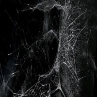My insanity - Single - PierceDante