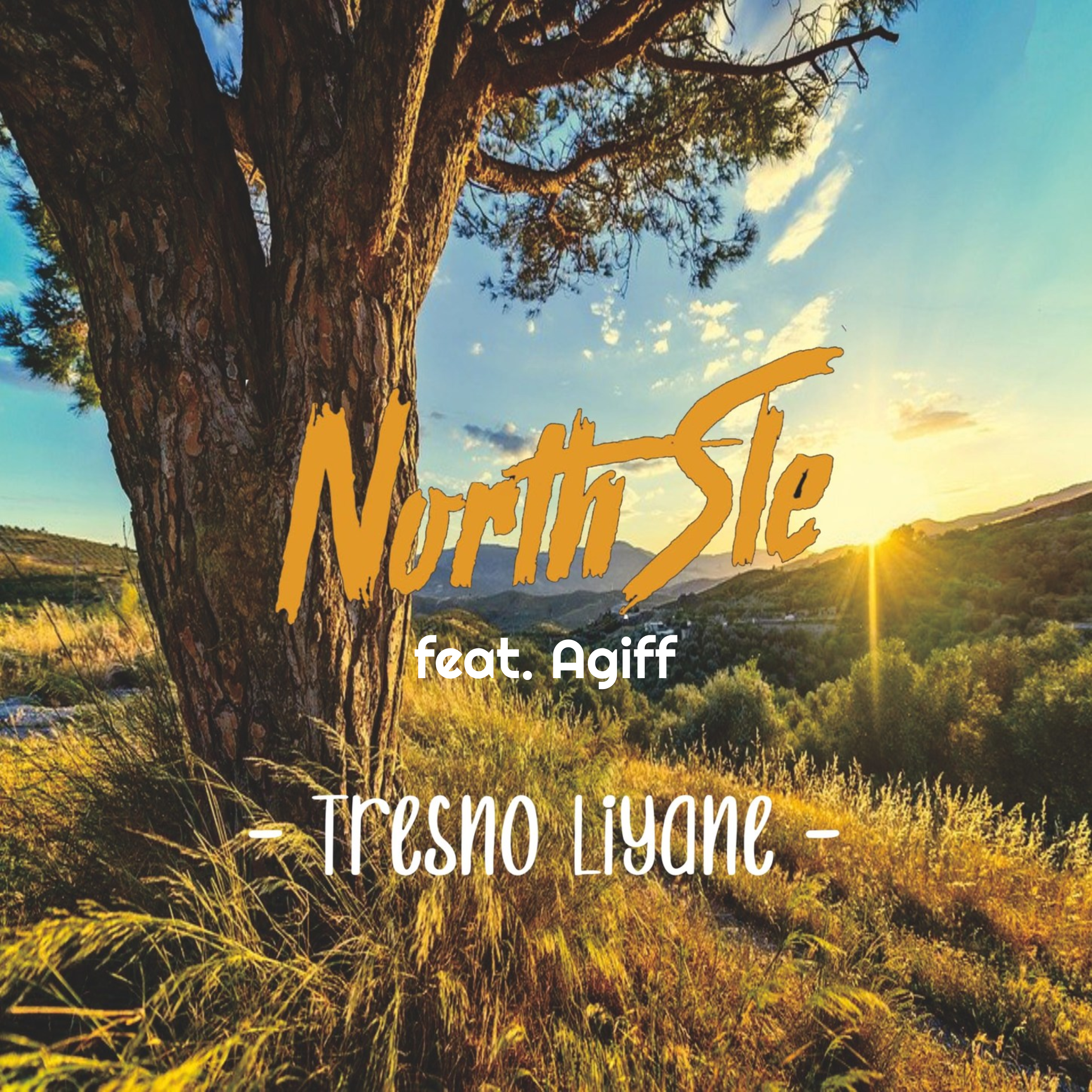 Tresno Liyane (feat. Agiff) - Single