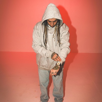 She wanted diamonds (feat. HighKeyRandom & Jovian Martian) - Single