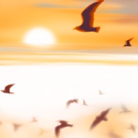 Είν' η Ζωή σου (feat. Διονύσης 