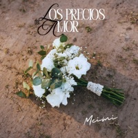 Los Precios del Amor - Single - MEIMI