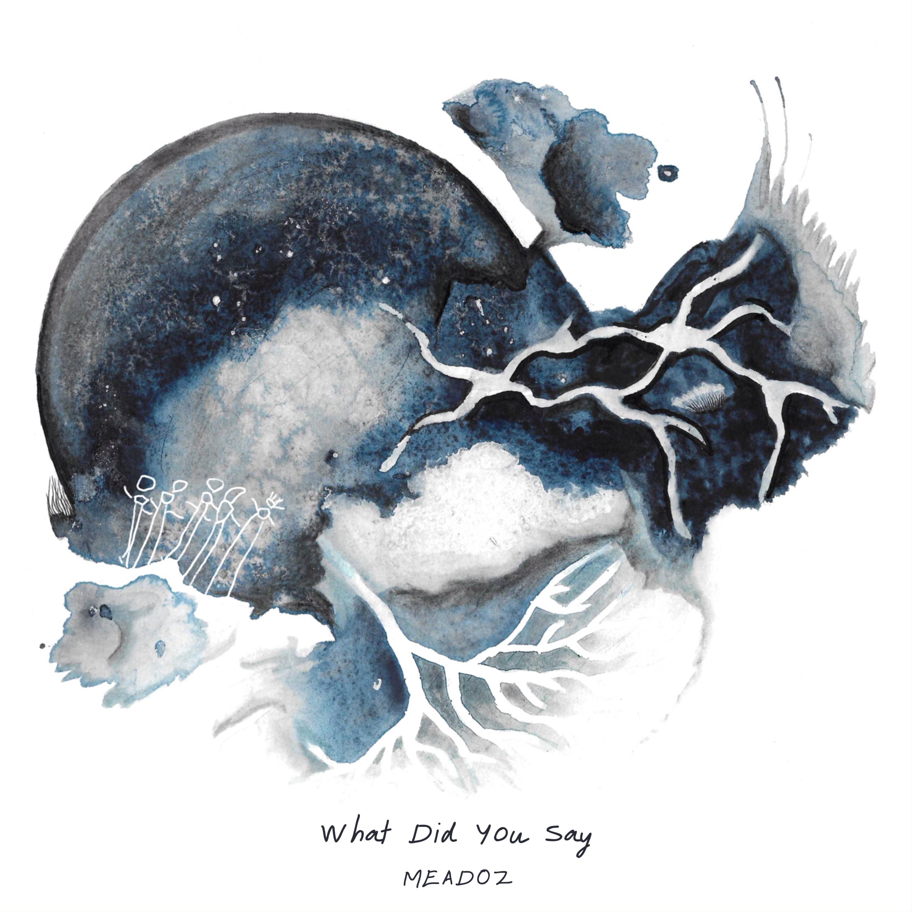 What Did You Say - EP