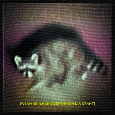 WENN KEIN HAHN MEHR NACH DIR KRÄHT - EP