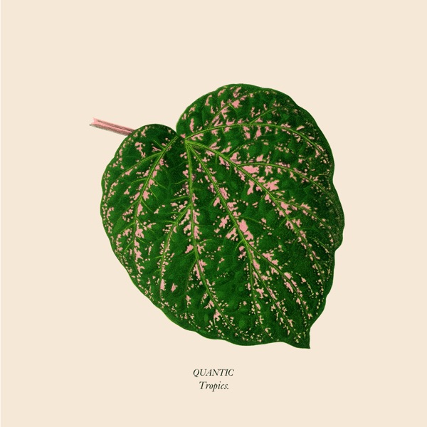 Tropics - Single