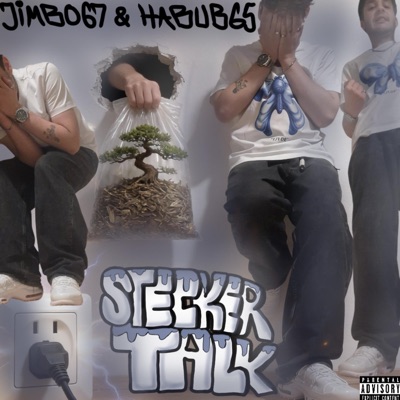 STECKER TALK (feat. HABUB65) - Single