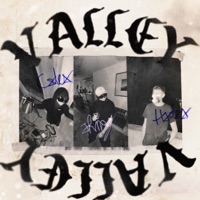 valley - Single - JShiny, CXDEX & HXDEX