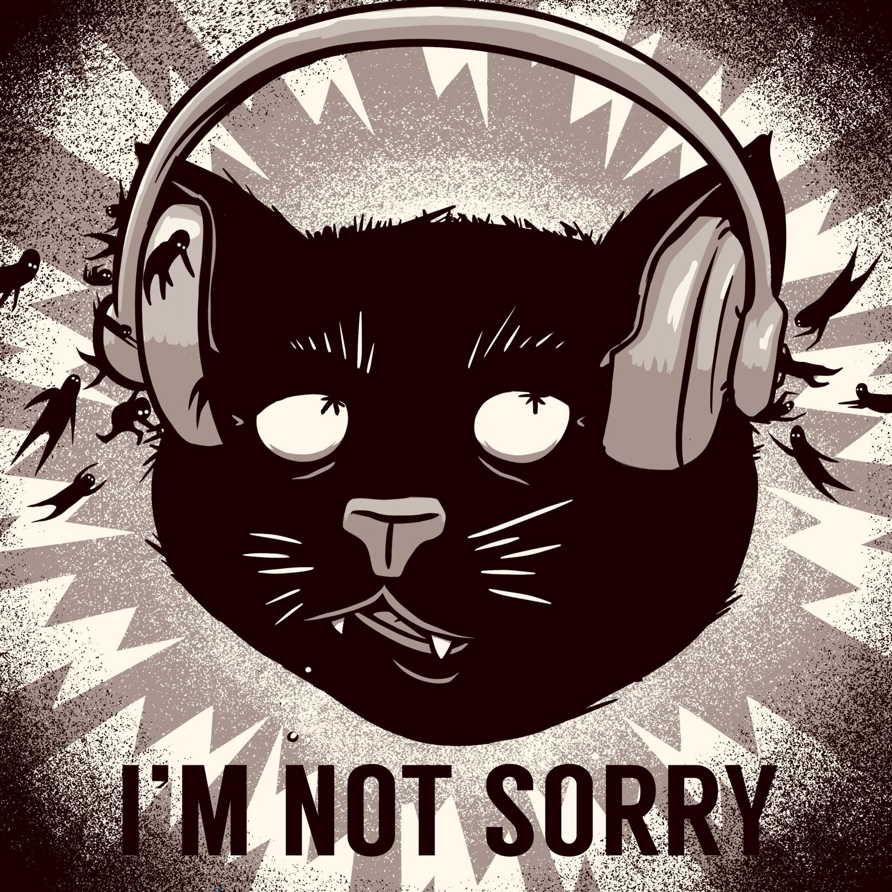 I'M NOT SORRY - Single