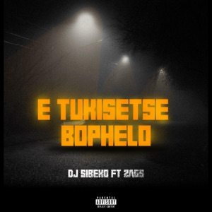 E Tukisetse Bophelo (feat. ZAGS)