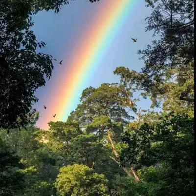 Posłuchaj utworu Rainbow - Single wykonywanego przez Brixson.