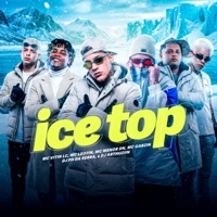 Ice Top (feat. Mc Menor DN & Mc Leozin) - Single - MC Vitin LC & Mc Gabzin