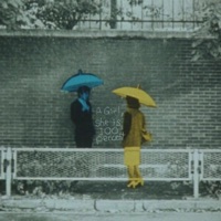 A Girl, She Is 100 Percent (feat. dkj) - Single - Novacane