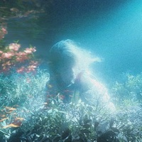 Вой сирен - Single - KATASTROFA